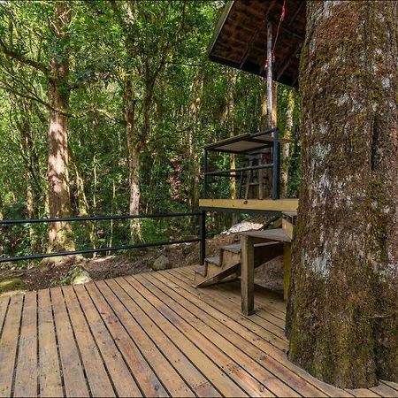 Unicorn Lodge: Direct Riverfront : Unique Experience San Gerardo de Dota Buitenkant foto