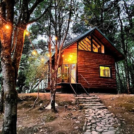 Unicorn Lodge: Direct Riverfront : Unique Experience San Gerardo de Dota Buitenkant foto