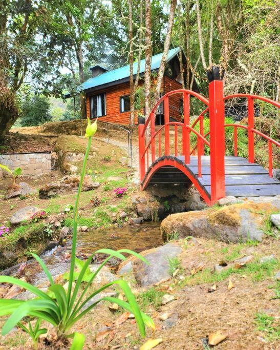 Unicorn Lodge: Direct Riverfront : Unique Experience San Gerardo de Dota Buitenkant foto