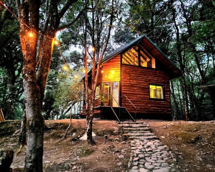 Unicorn Lodge: Direct Riverfront : Unique Experience San Gerardo de Dota Buitenkant foto