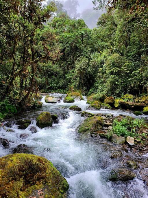Unicorn Lodge: Direct Riverfront : Unique Experience San Gerardo de Dota Buitenkant foto