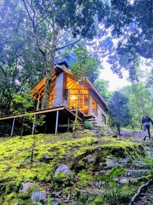 Unicorn Lodge: Direct Riverfront : Unique Experience San Gerardo de Dota Buitenkant foto