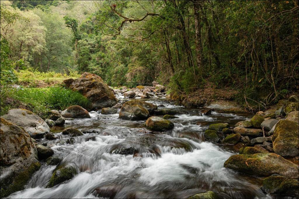 Unicorn Lodge: Direct Riverfront : Unique Experience San Gerardo de Dota Buitenkant foto