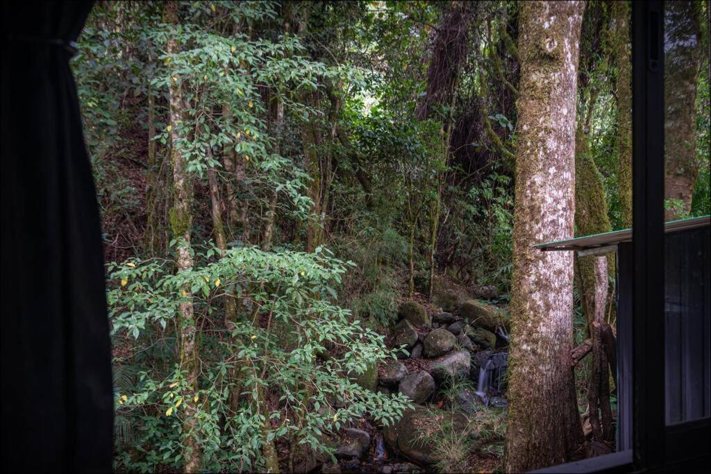Unicorn Lodge: Direct Riverfront : Unique Experience San Gerardo de Dota Buitenkant foto