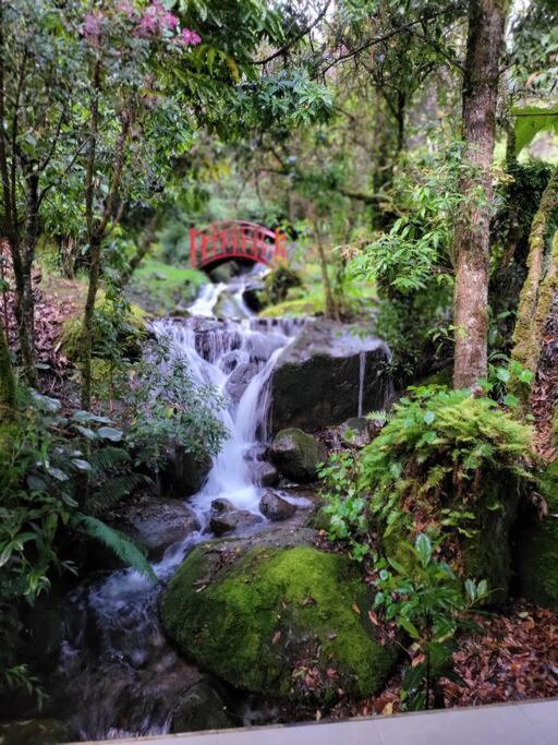 Unicorn Lodge: Direct Riverfront : Unique Experience San Gerardo de Dota Buitenkant foto
