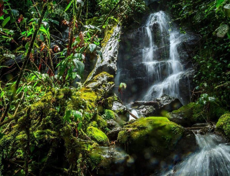 Unicorn Lodge: Direct Riverfront : Unique Experience San Gerardo de Dota Buitenkant foto