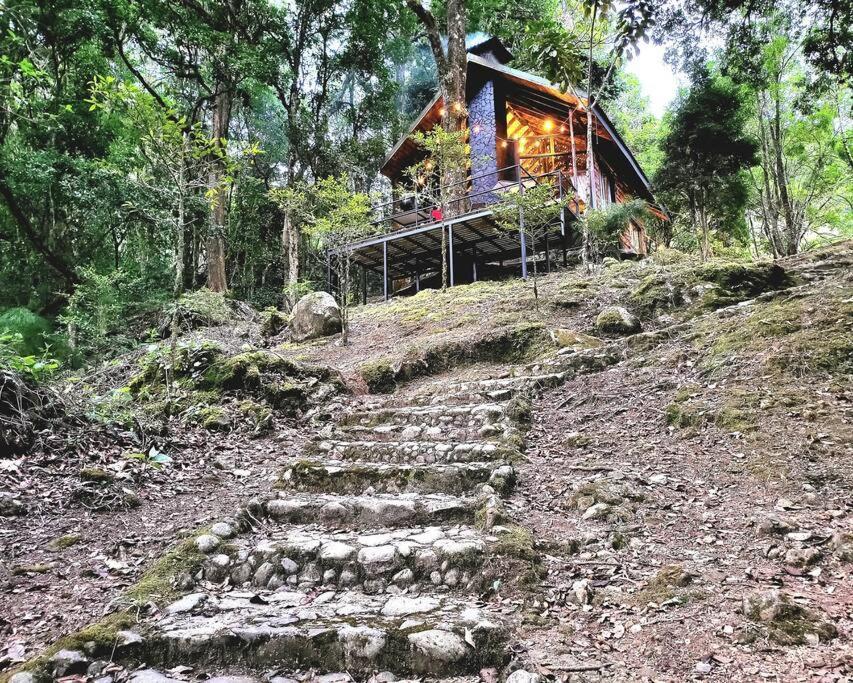 Unicorn Lodge: Direct Riverfront : Unique Experience San Gerardo de Dota Buitenkant foto