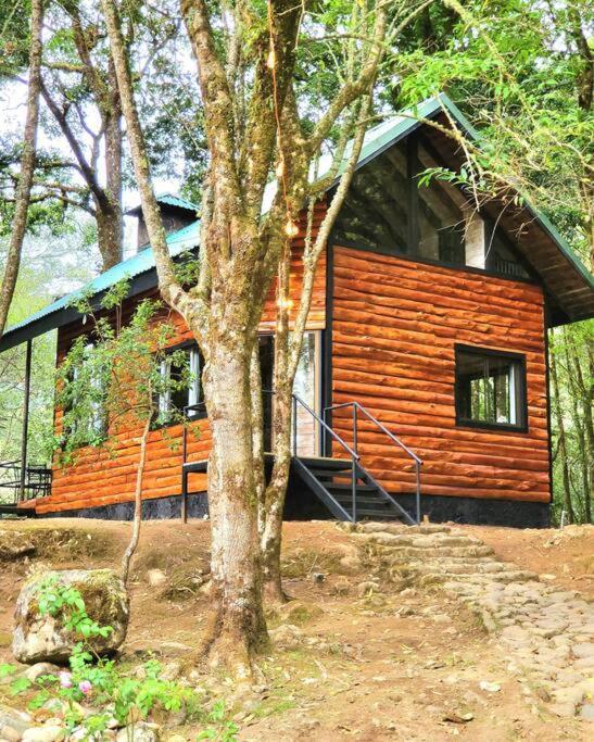 Unicorn Lodge: Direct Riverfront : Unique Experience San Gerardo de Dota Buitenkant foto