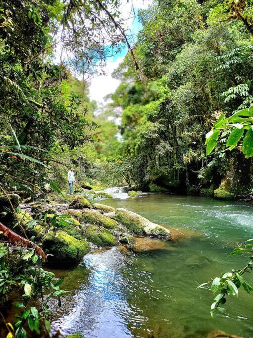 Unicorn Lodge: Direct Riverfront : Unique Experience San Gerardo de Dota Buitenkant foto