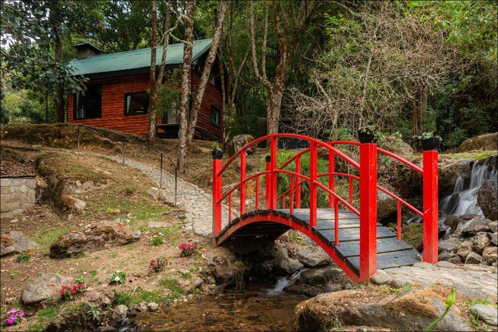Unicorn Lodge: Direct Riverfront : Unique Experience San Gerardo de Dota Buitenkant foto